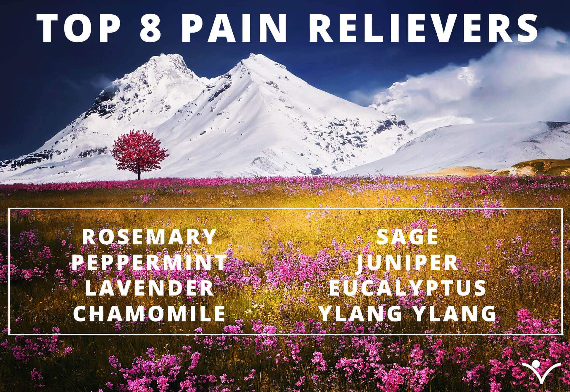Top 8 Ätherische Öle gegen Schmerzen