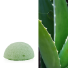 Konjac Schwamm Aloe Vera - Gesichtsschwamm - Ansicht 2