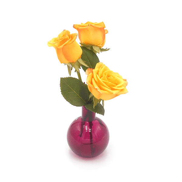 Pixi Vase