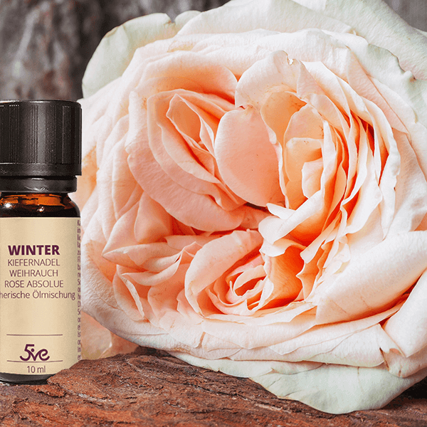 Winter 10ml - Ätherisches Öl - Ansicht 2