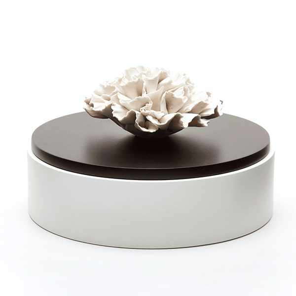 Iwa Diffuser Box