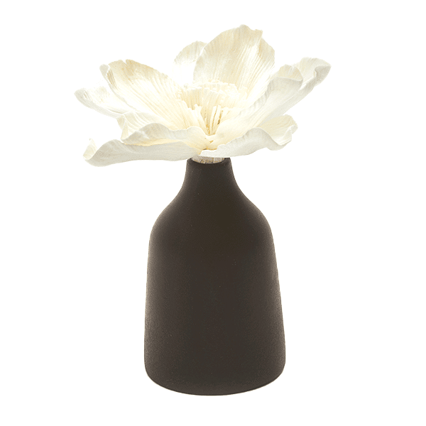Mana Diffuser Café