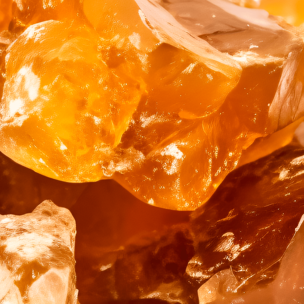 Winter Pine 5ml - Ätherisches Öl - Ansicht 12