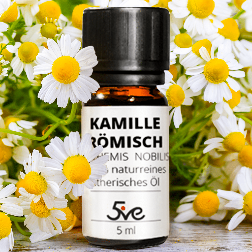 Kamillen Öl Römisch 5ml - Ätherisches Öl - Ansicht 3