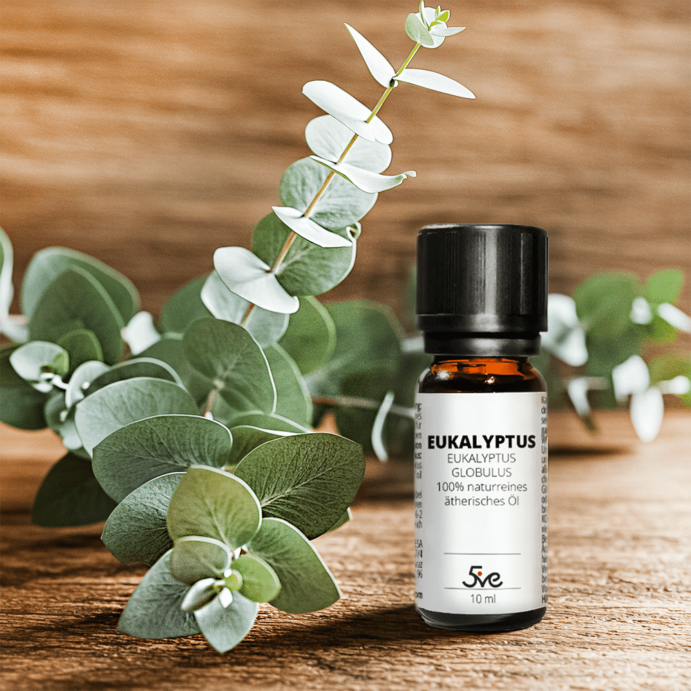 Eukalyptus Öl 10ml - Ätherisches Öl - Ansicht 3