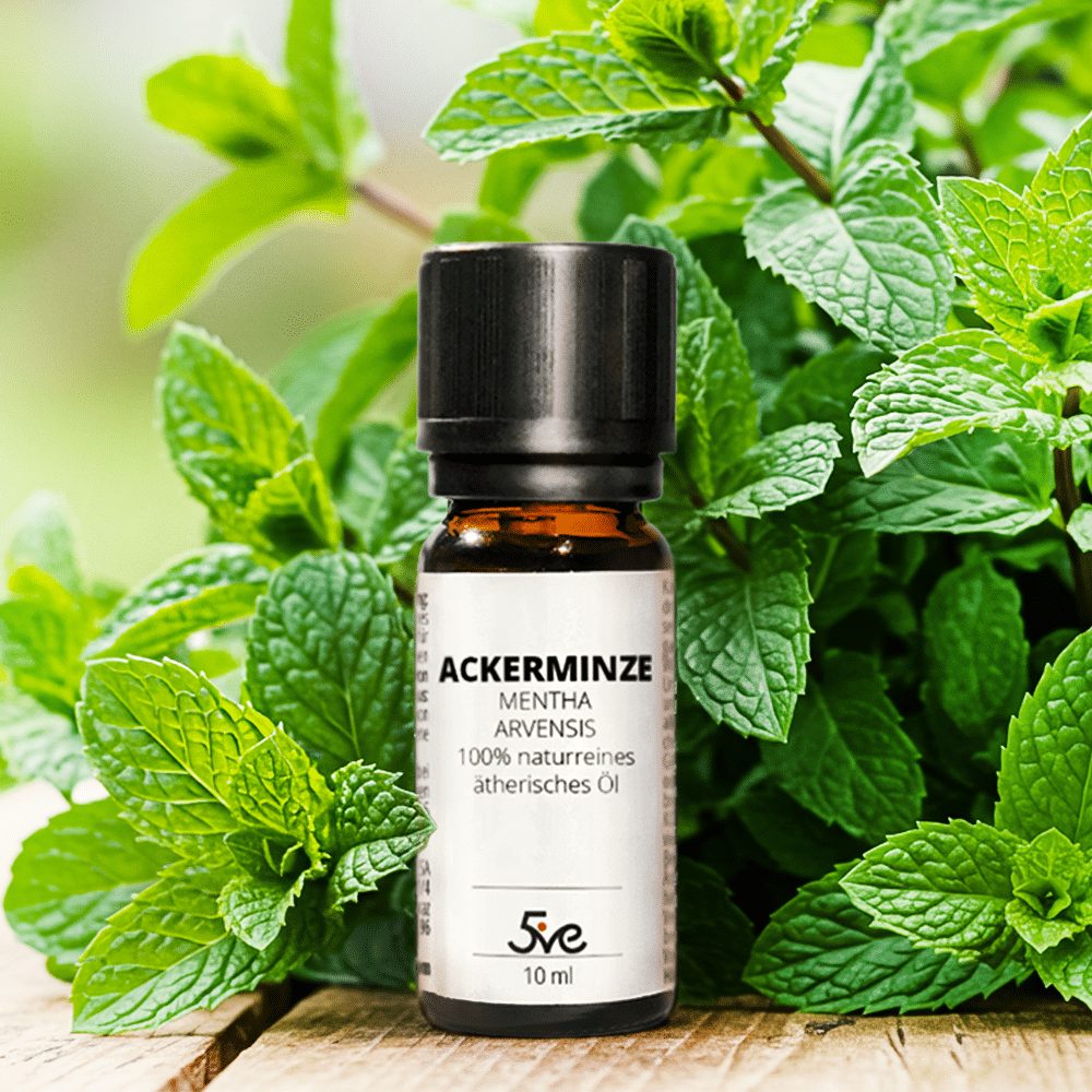 Ackerminz Öl 10ml - Ätherisches Öl - Ansicht 3