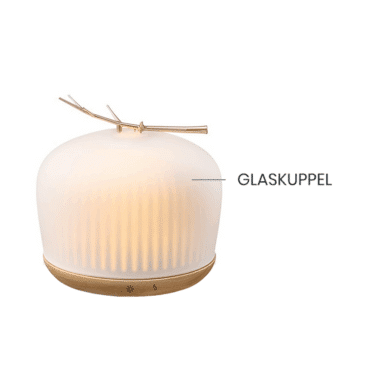 Glaskuppel für Origin